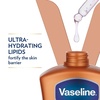 image:imageVaseline Cocoa Radiant Body Lotion for Dry Skin  Cocoa Butter 203oz 3ct32 Fl Oz Pack of 2