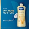 image:imageVaseline Soothing Hydration Body Lotion Soothing Hydration for Dry Skin with UltraHydrating Lipids  1 Aloe Vera Extract to Refresh Dehydrated Skin 203 Fl oz203 Fl Oz Pack of 2