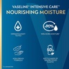 image:imageVaseline Soothing Hydration Body Lotion Soothing Hydration for Dry Skin with UltraHydrating Lipids  1 Aloe Vera Extract to Refresh Dehydrated Skin 203 Fl oz203 Fl Oz Pack of 2
